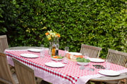 A lunch table in the garden